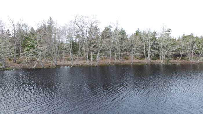 WentworthHalbinsel (71)